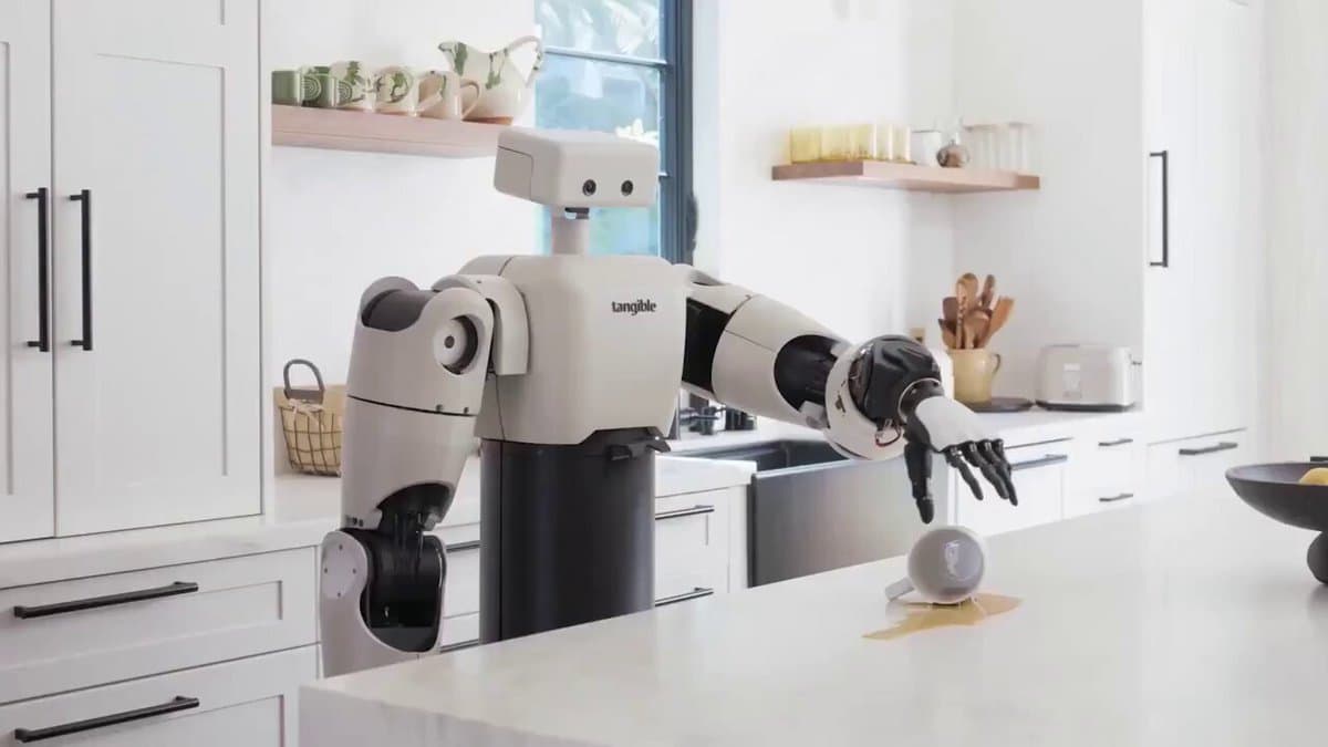 Eggie: A Robot Designed for Human‑Centered Futures