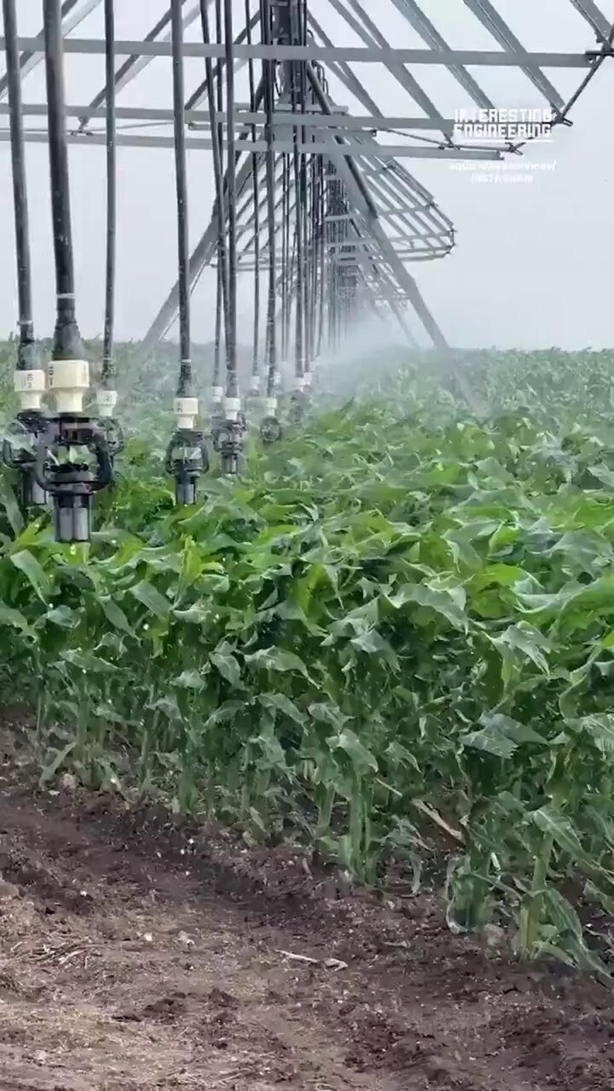 Wind-Driven Irrigation Revolutionizes Sustainable Farming