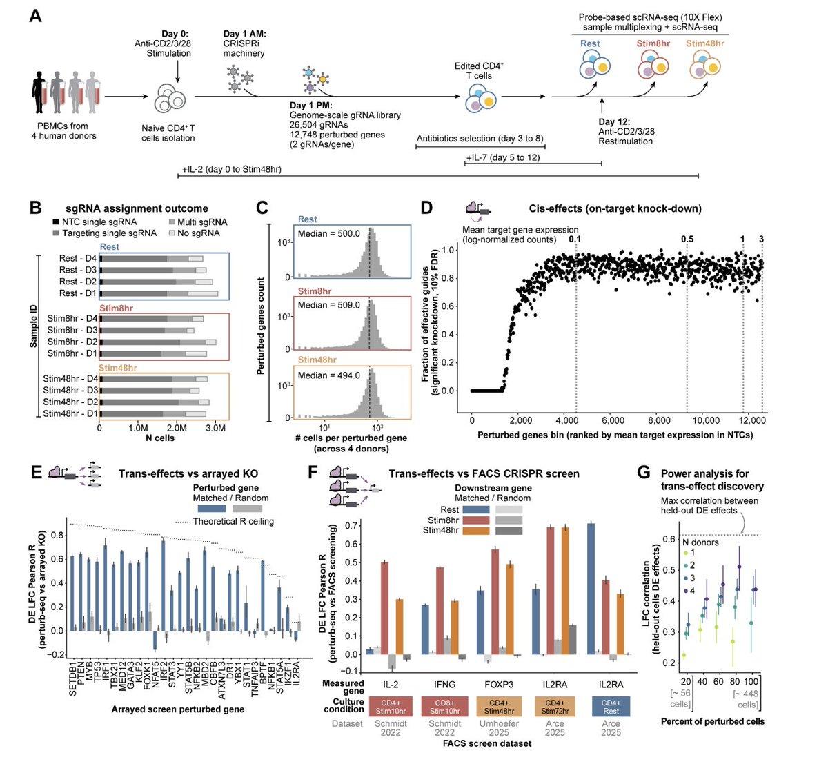 Perturb-Seq Maps T Cell Regulators and Immune Traits