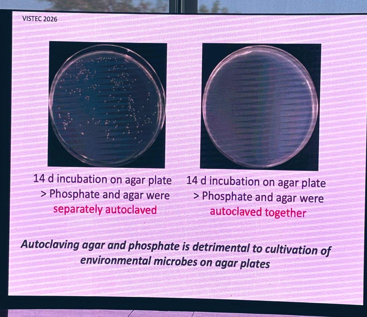 Autoclaving Phosphate with Agar Kills Bacterial Colonies