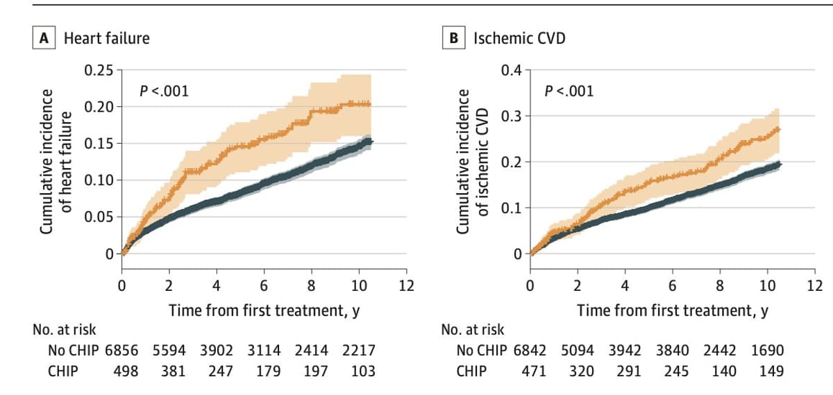 CHIP Clones Raise Cardiovascular Risk in Cancer Survivors