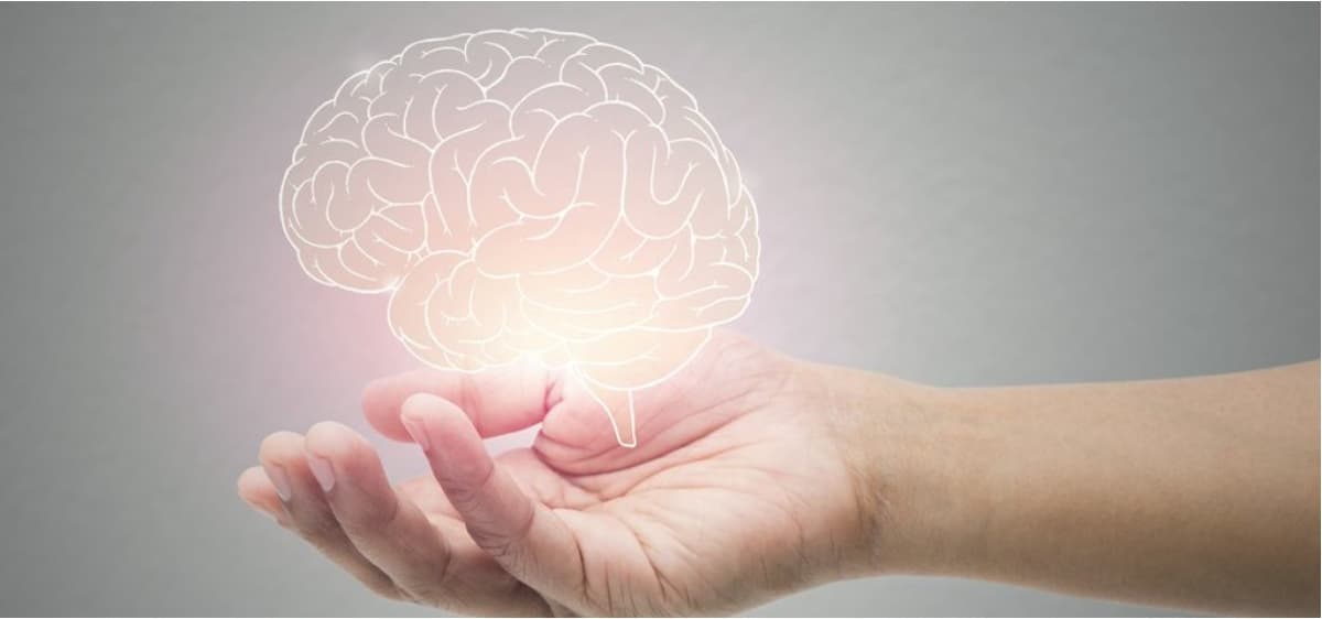 Autonomous Networks Reach Level 4: Self‑Thinking Blueprint Unveiled