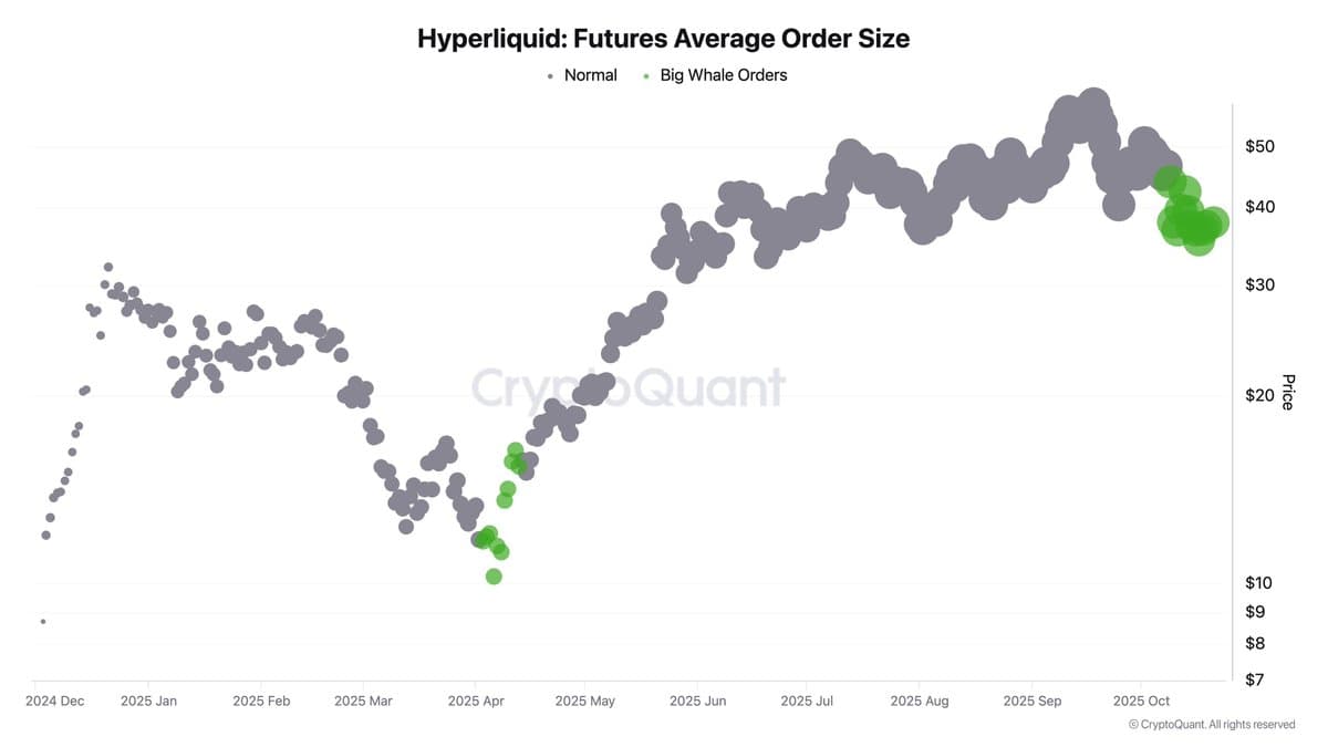 Whales Bet Big on $HYPE Token