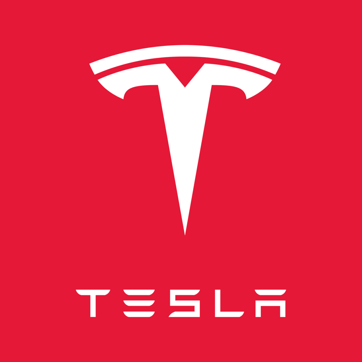 Tesla Adds $80M Bitcoin, Sells None—Elon Stays Bullish