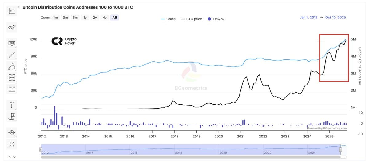 Bitcoin Whales Are Loading up on Bitcoin Now