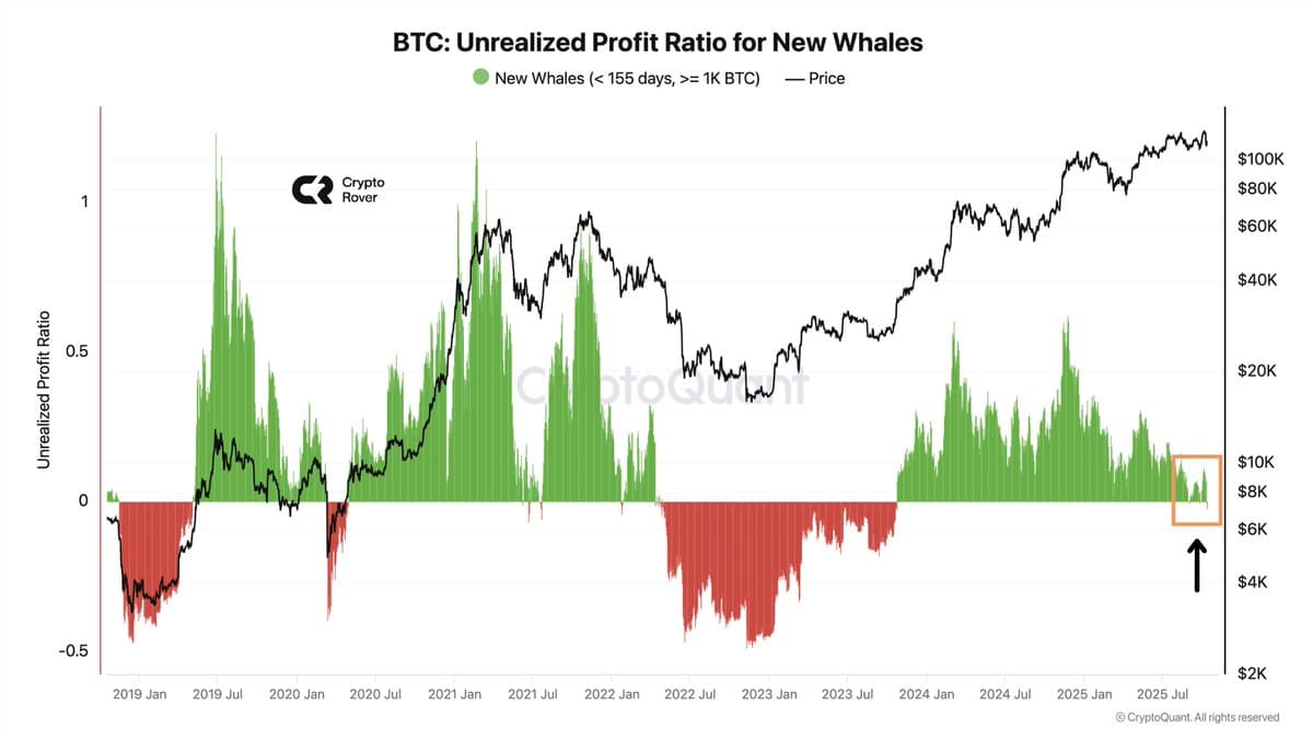New Crypto Whales Suffer Biggest Losses Since Bear Market