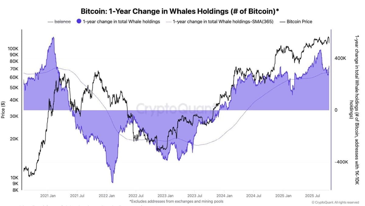 Whale Holdings Surge Past 1‑Year MA, Signaling Bull Run