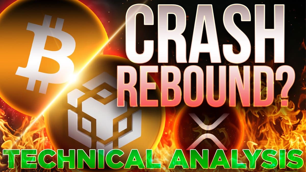 Crypto Prices Set for Rebound, Says Tim Warren