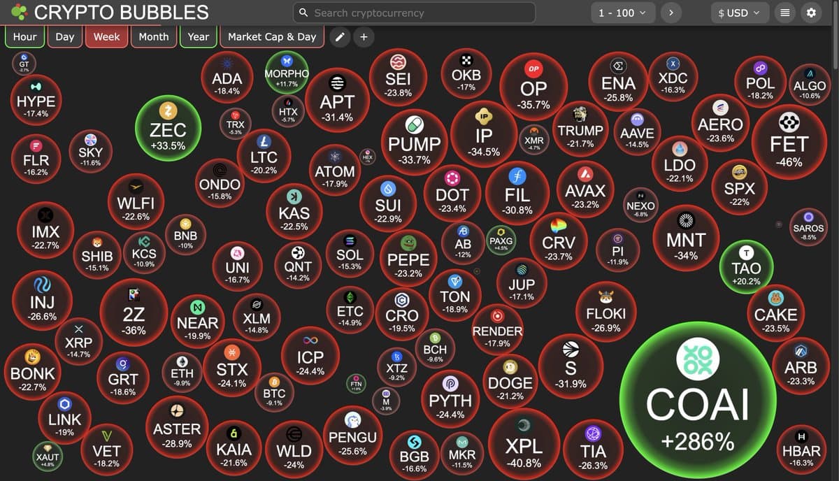 Altcoins Are Still Discounted—Buy Now