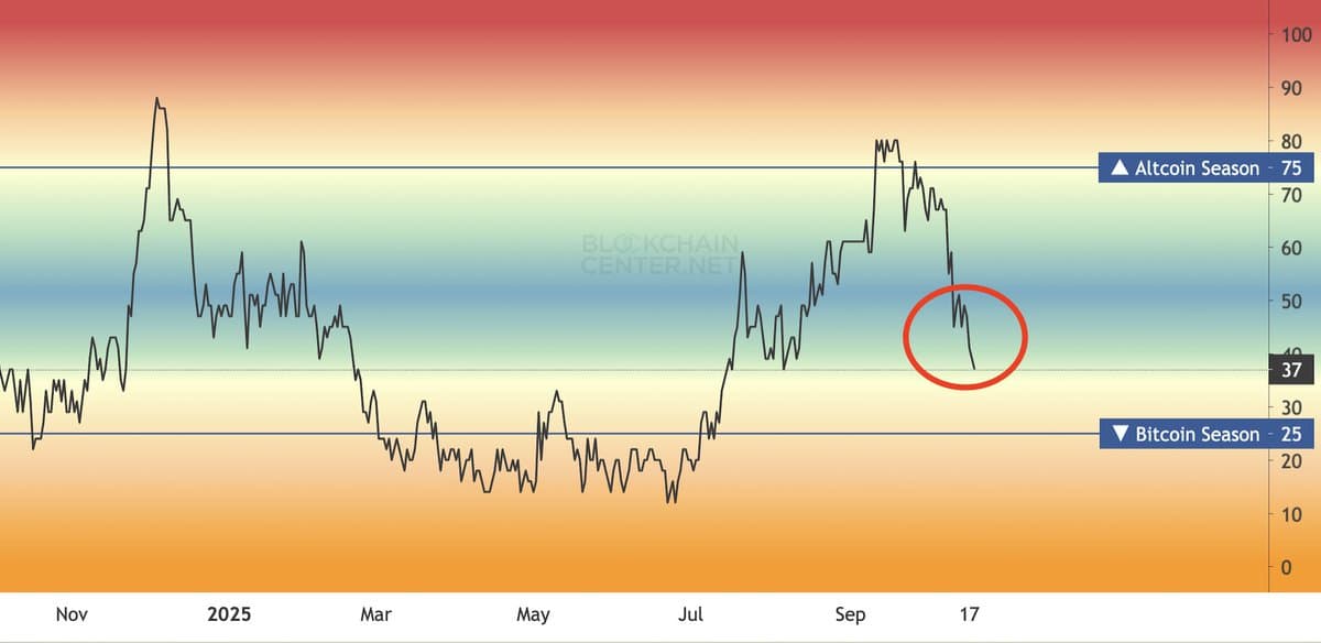 Altcoin Season Index Plummets—Is Market Risk Rising?