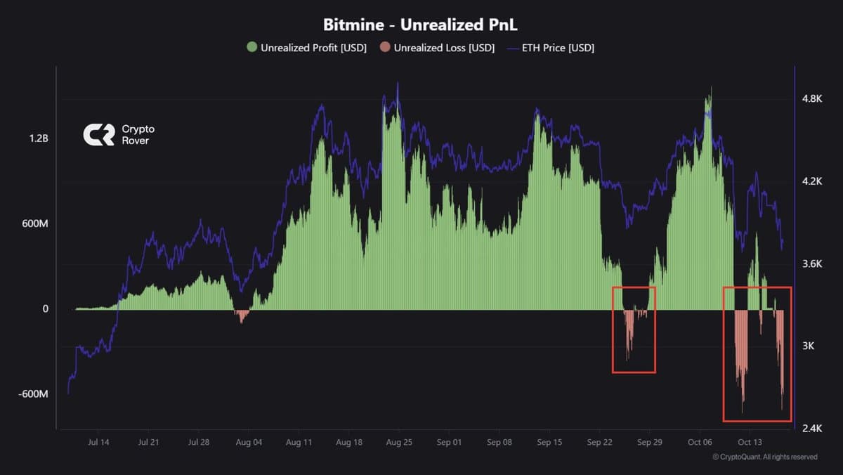 Bitmine's Ethereum Losses Signal Strong Buying Opportunity