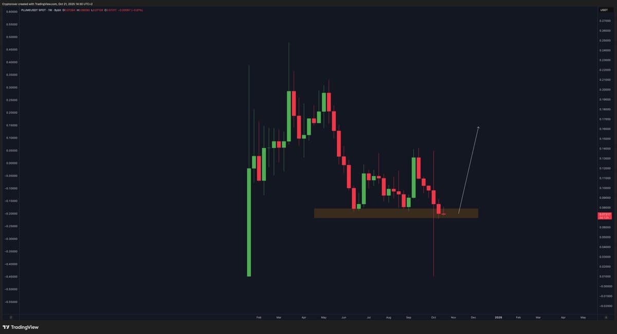 PLUME Rebounds to Support, Offering Fresh Growth Chance