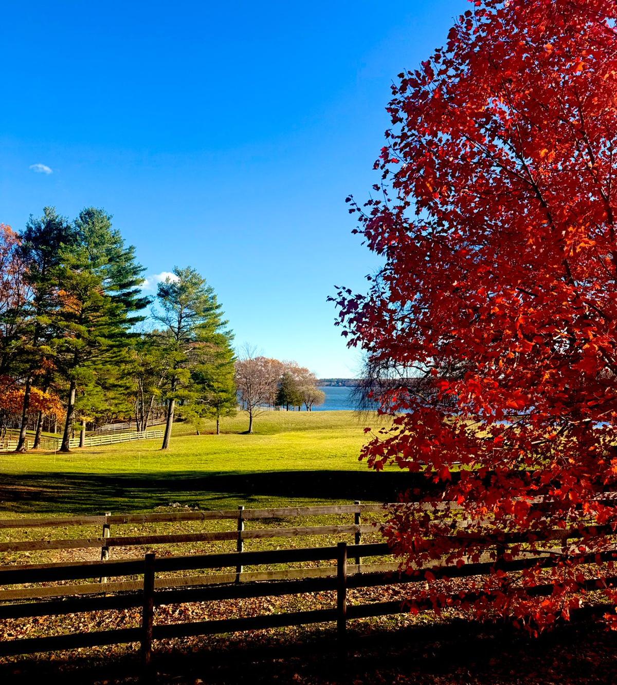 Celebrating Bitcoin’s Return to $100k Milestone