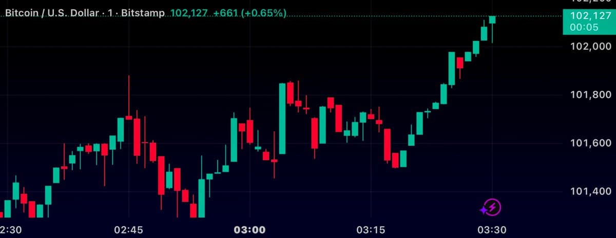 Bitcoin Rebounds Again to $102,000