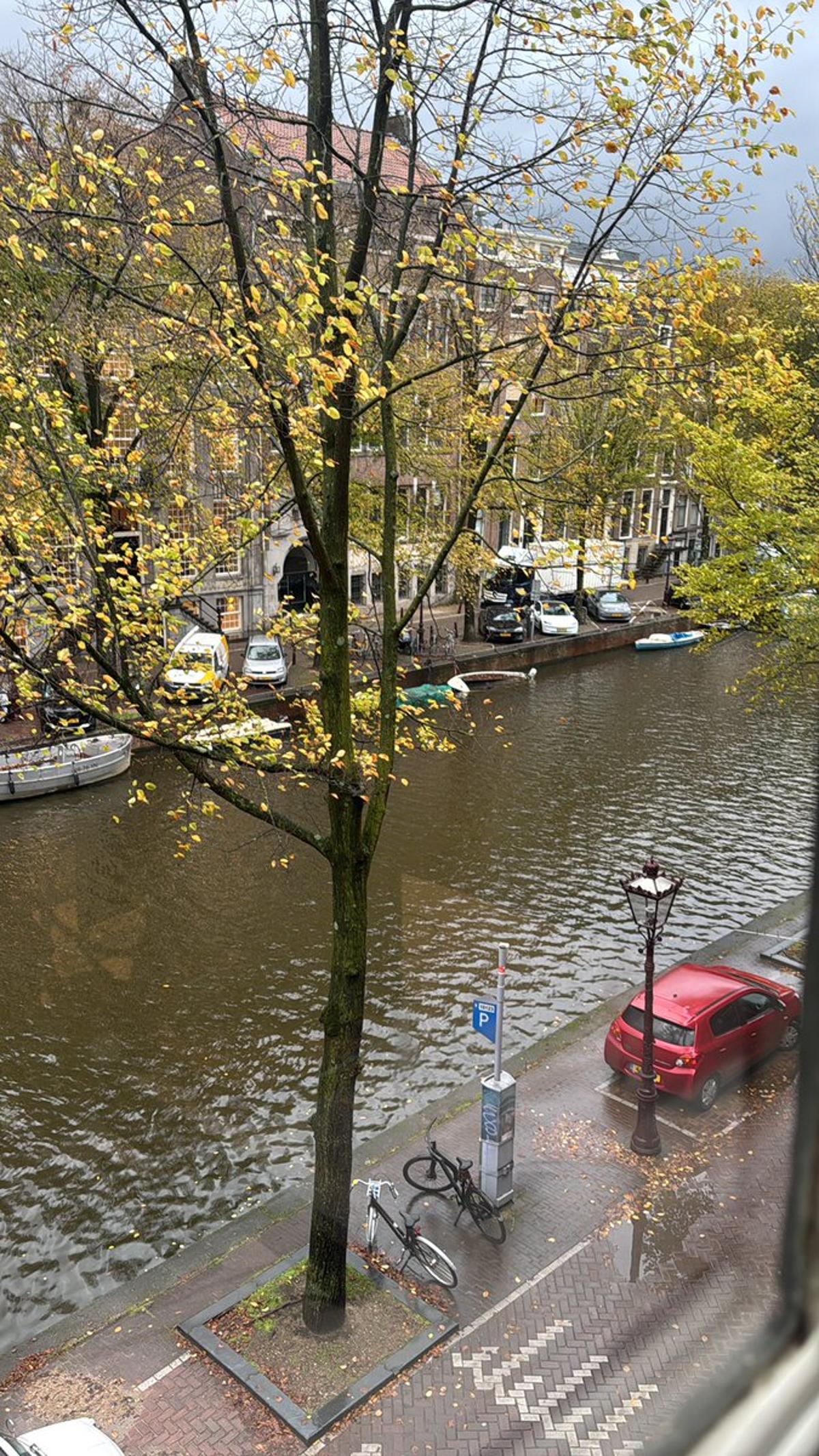 Bitcoin Hits $115K, Setting New November All‑time High