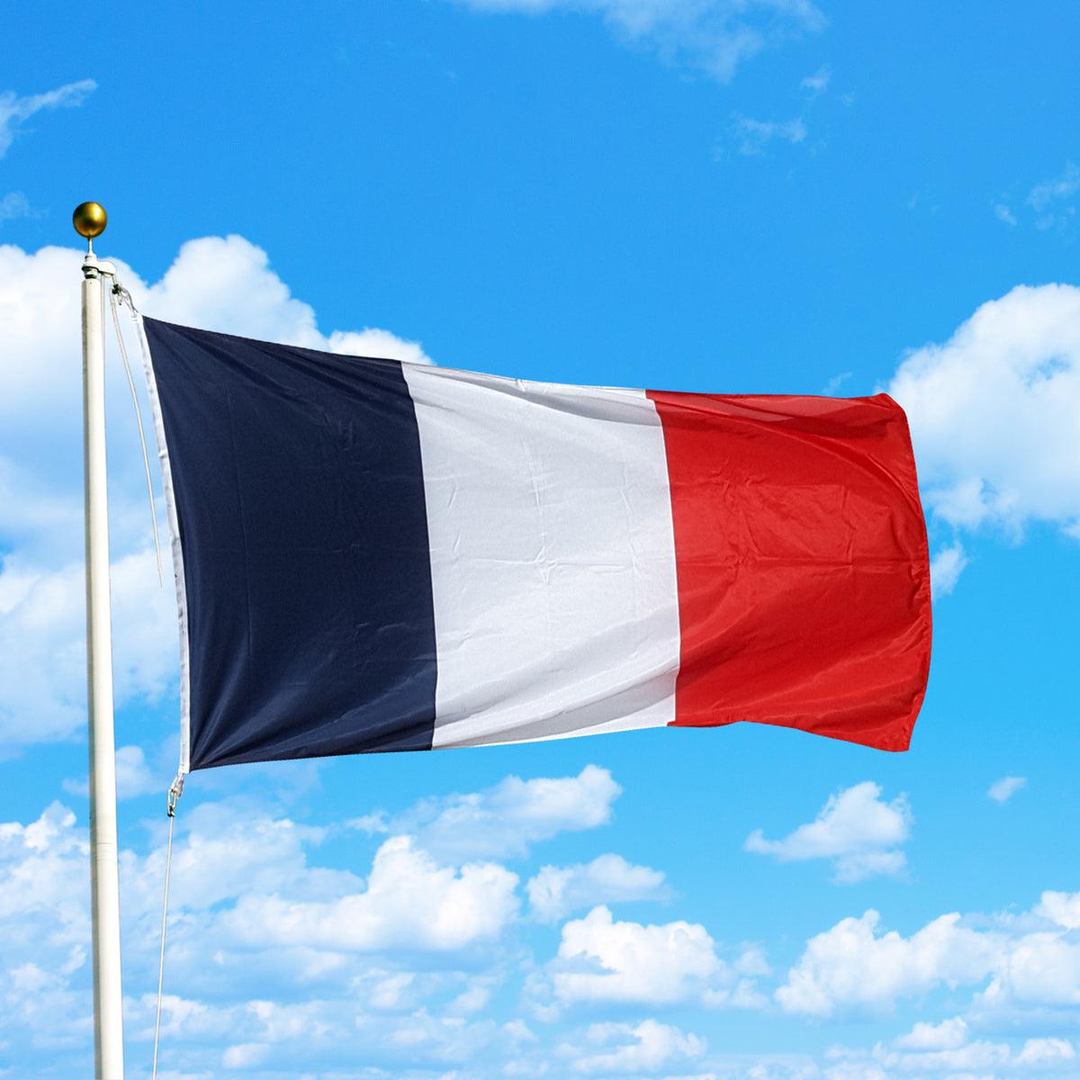 France Mulls Buying 2% of Bitcoin Supply