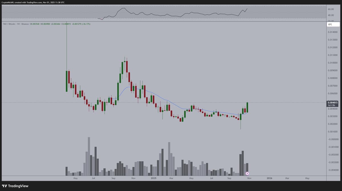 TAO Breakout Signals Cheap Altcoins and Profit Potential