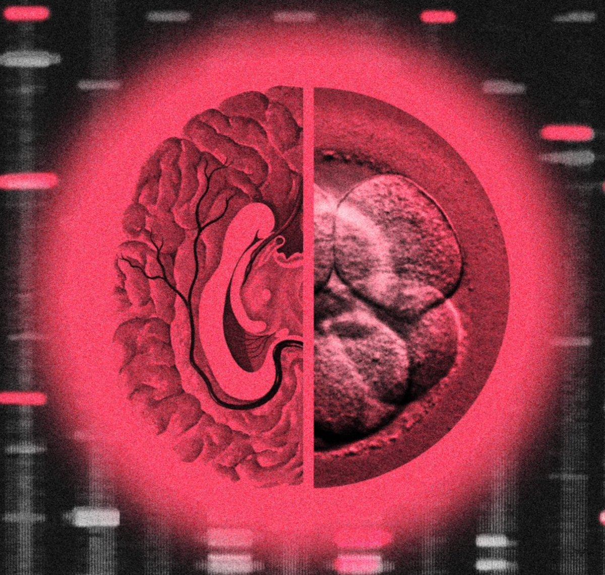 Silicon Valley Execs Spend Fortunes on High‑IQ Embryos