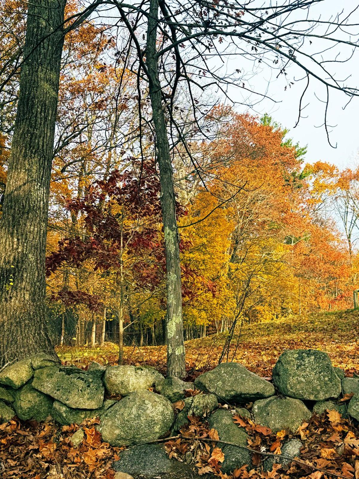 Today’s Perfect Moment: Buy Bitcoin Under $100k