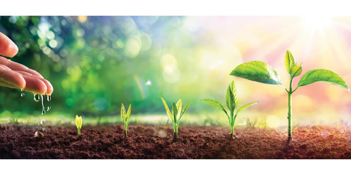 Essential Fundraising Tips for Early Growth Founders