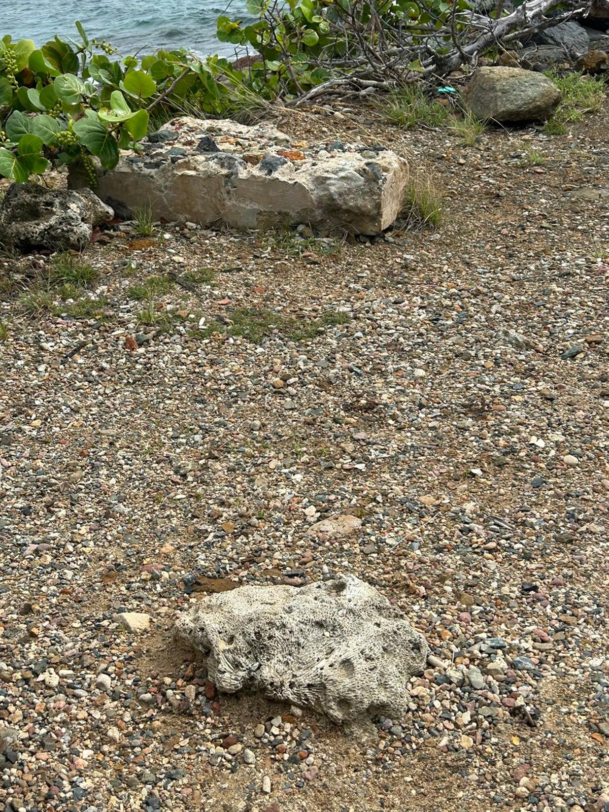 AI Struggles with Visual Tasks; Human Expert Wins