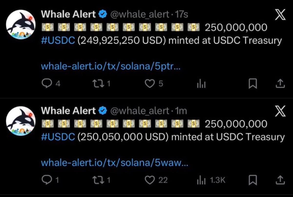 Half‑billion USDC Minted on Solana, Signaling Massive Inflow