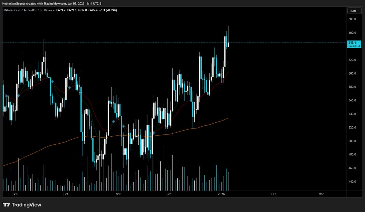 Hold BCH, Stop Selling, Unlock Massive Pump