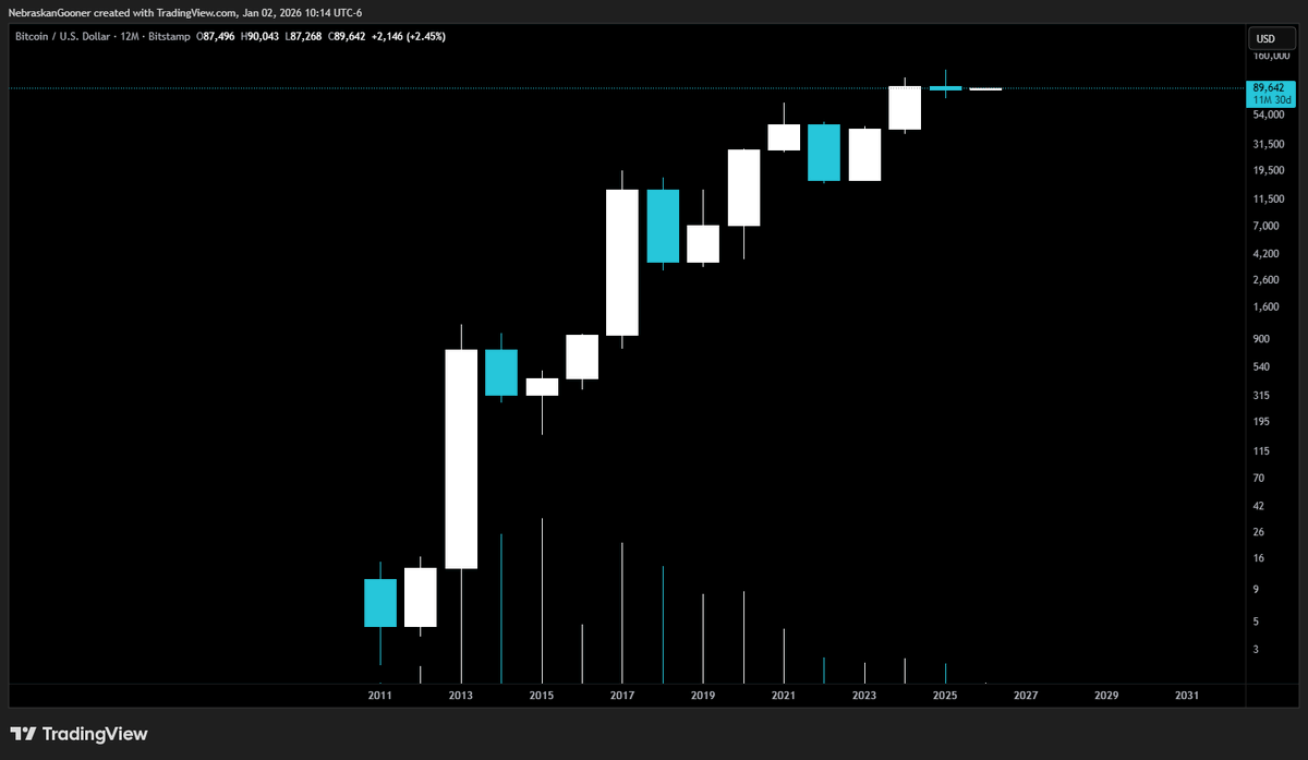 Bitcoin’s Log Chart Shows Unprecedented Bullish Trend