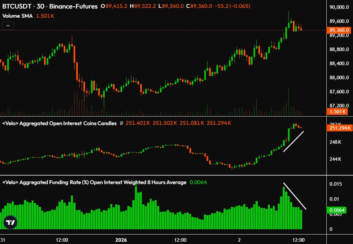 Rising Open Interest, Falling Funding Signal Bear Pain 2026