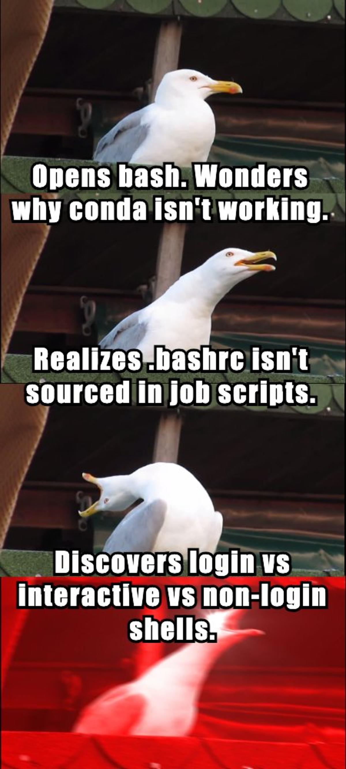 Understanding Login vs Interactive Shells in Bioinformatics
