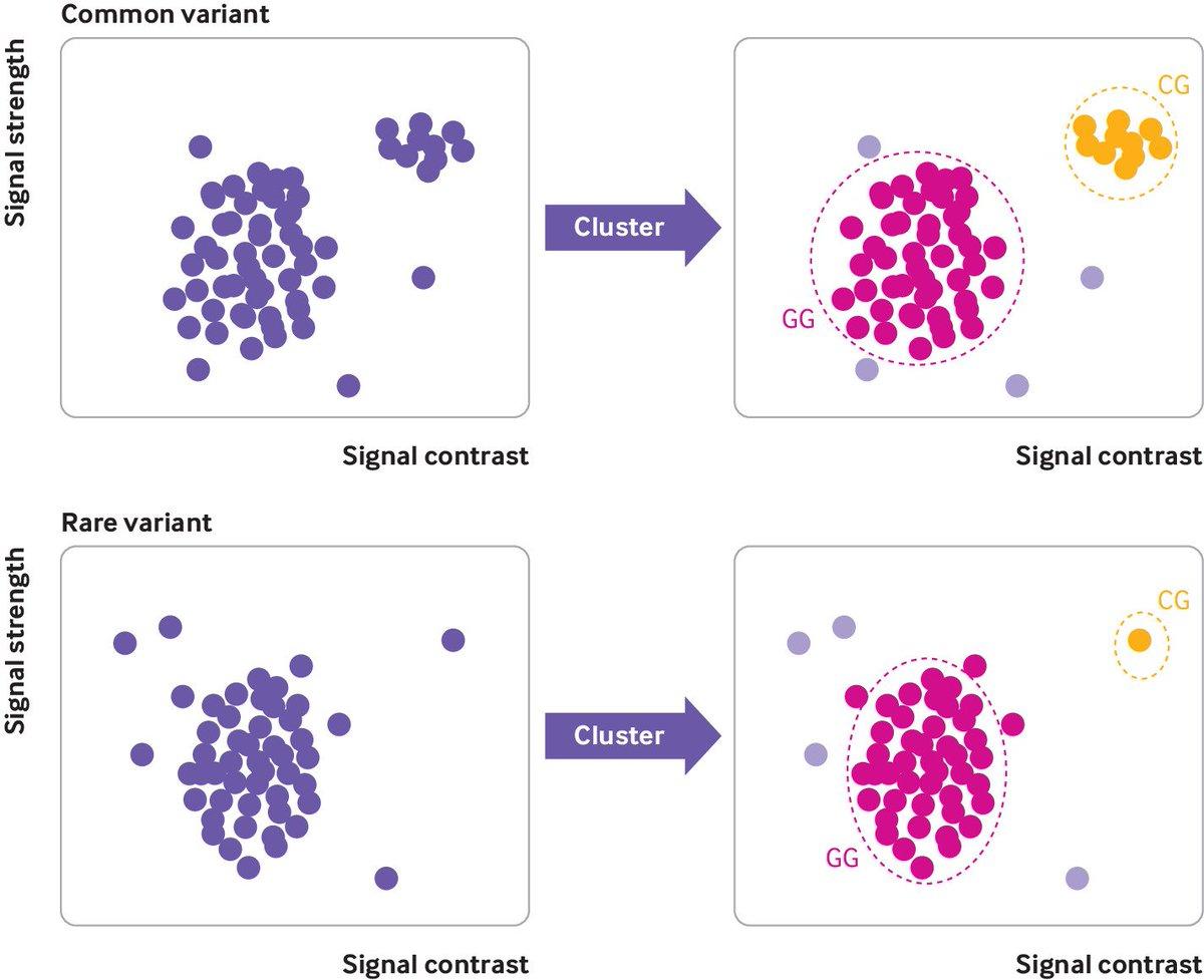 Study Finds Frequent BRCA1 Test Errors, Risking Unnecessary Surgeries