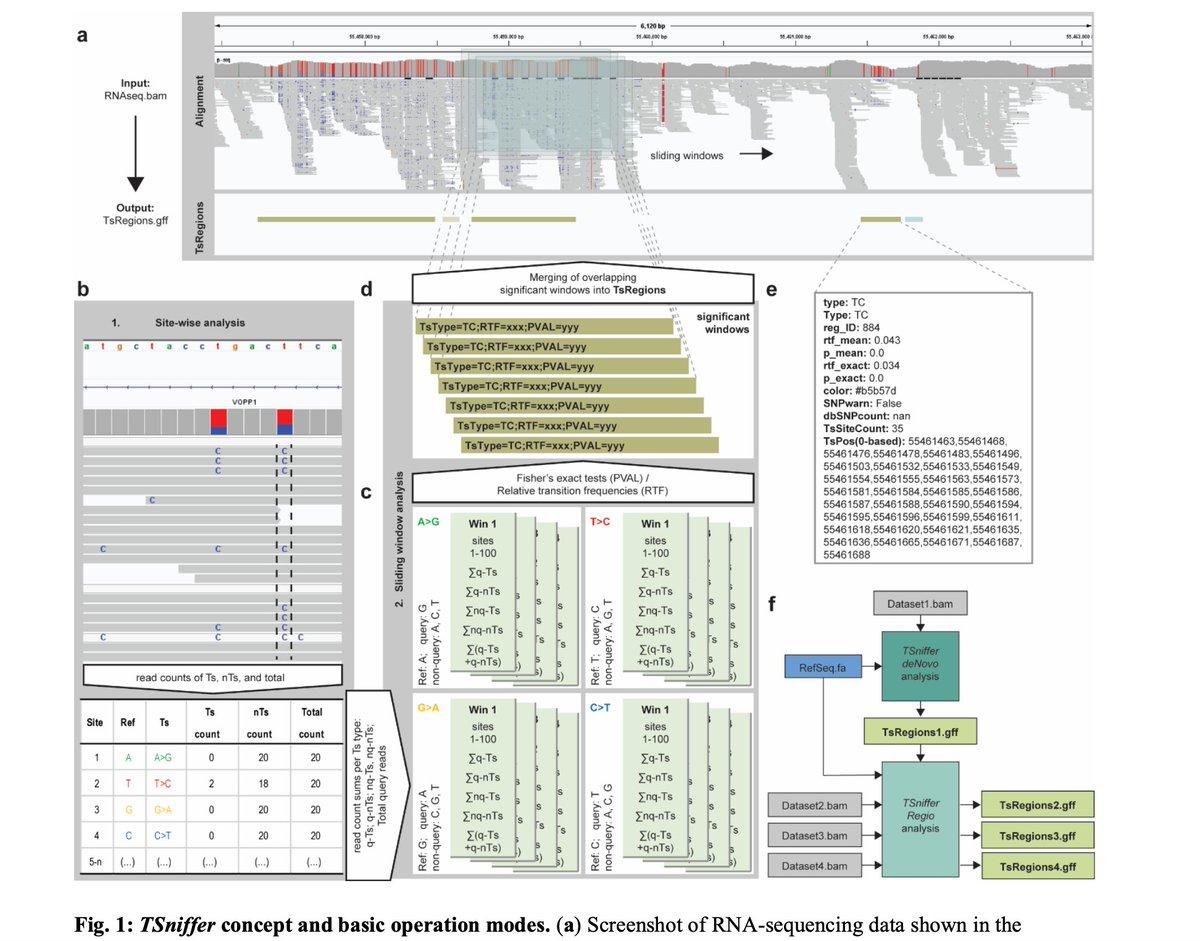 TSniffer Enables Unbiased De Novo RNA Editing Detection