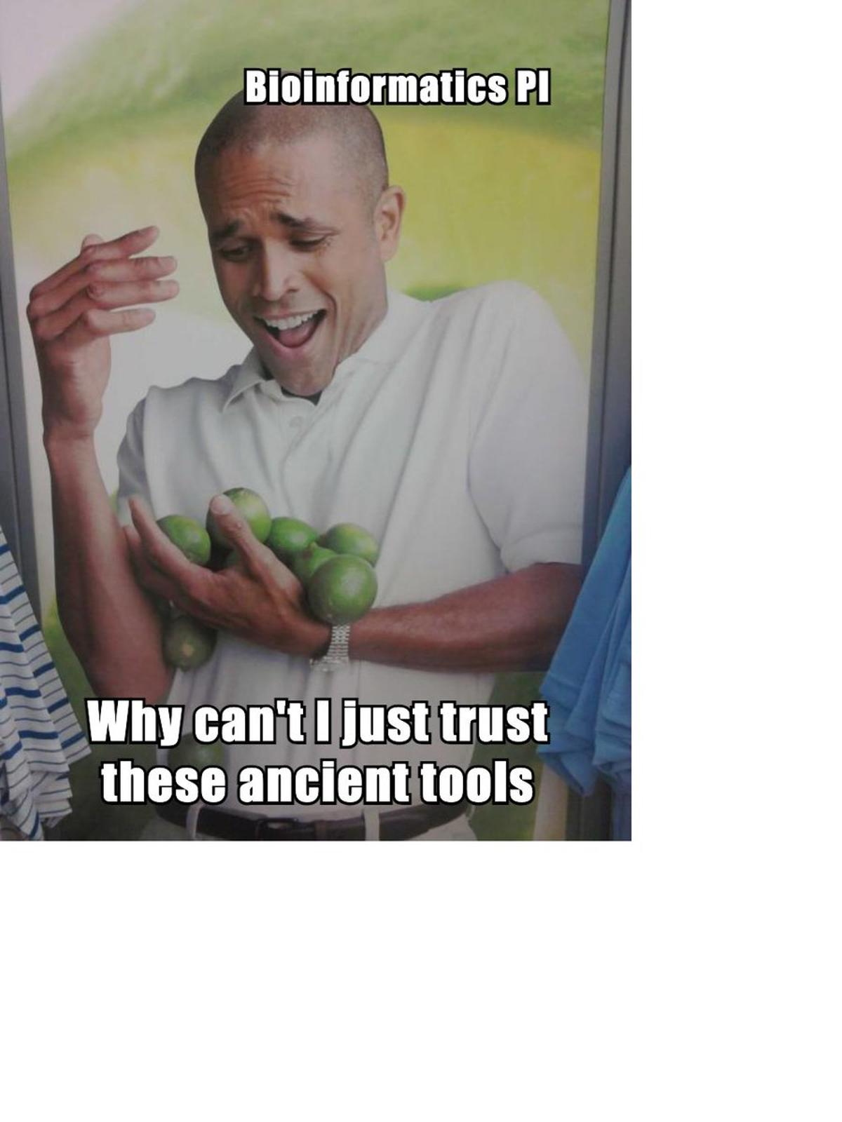 Academic Software's Hidden Risk: Single‑grad Maintainer Dependency