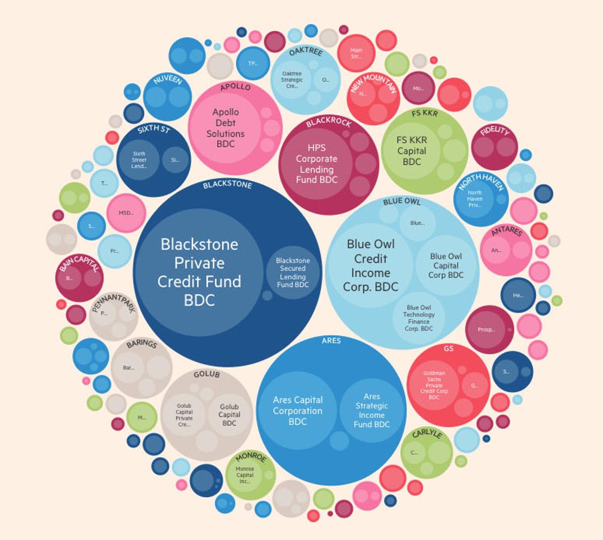 Software Selloff Hits BDCs, Creditors May Be at Risk