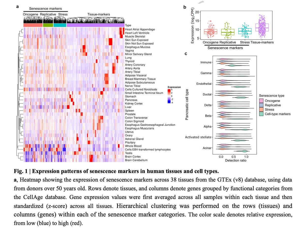 ICE Enables Accurate Senescence Detection From Sparse Single‑Cell Data