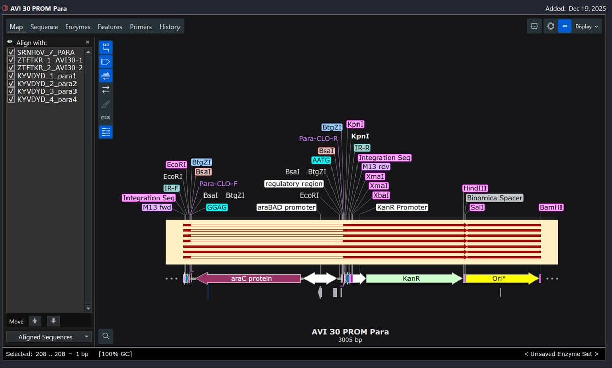 Successfully Cloned Infernal Arabinose Promoter Despite Synonymous Mutation