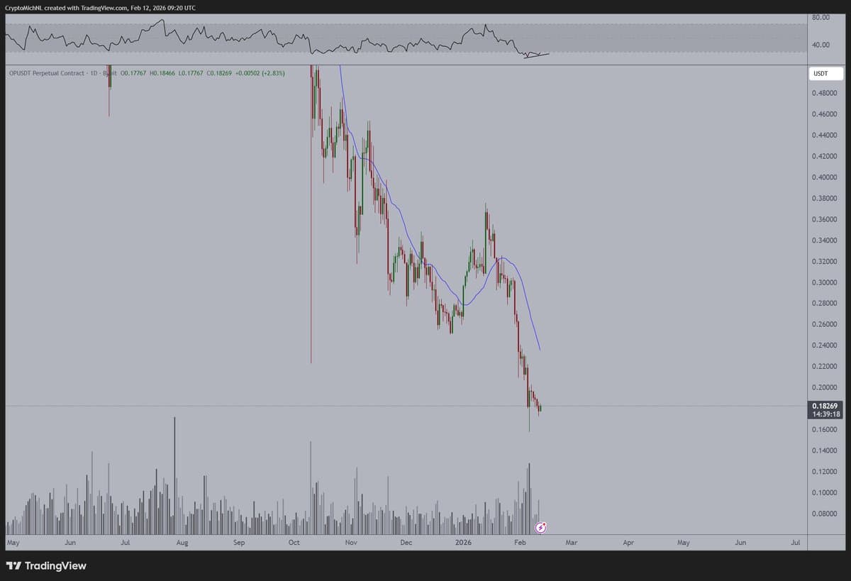 Bullish Divergences Signal Upcoming Altcoin Momentum