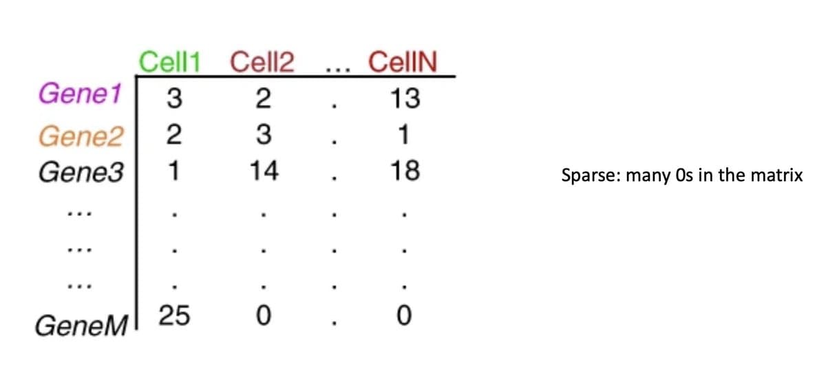 Bioinformatics Demands Matrix Thinking—Most Never Learned It