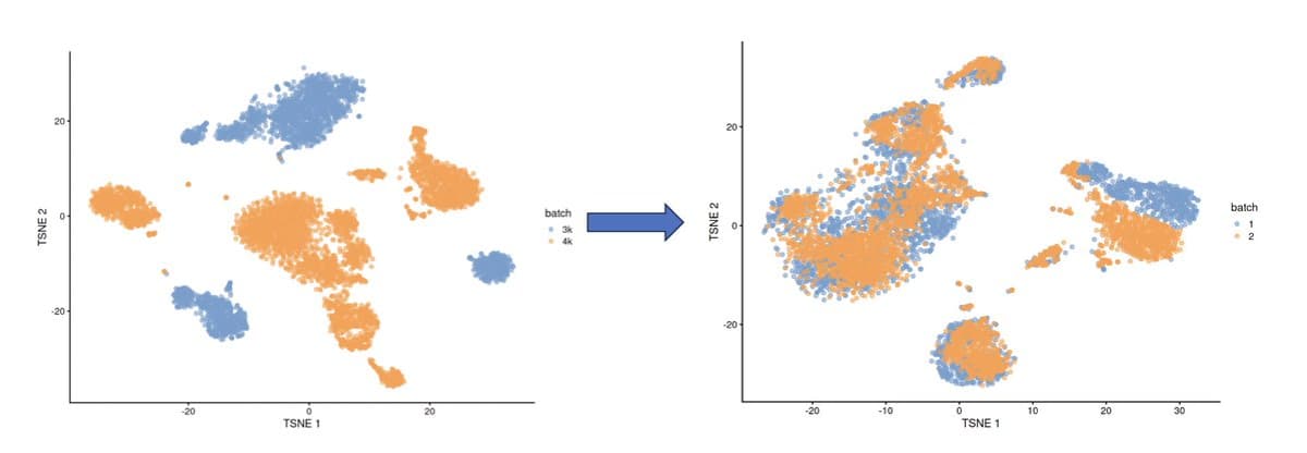 When to Merge Vs. Separate Single-Cell Datasets