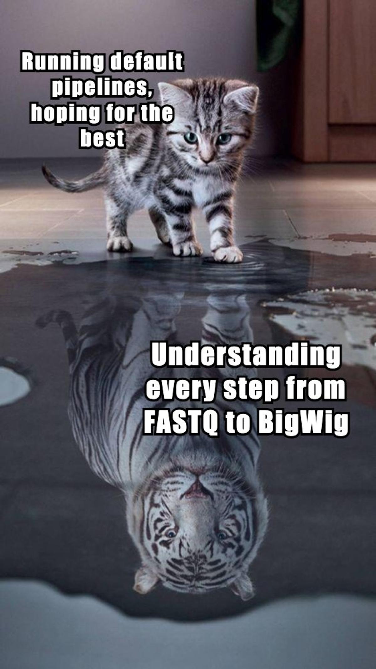 Master NGS Pre‑Processing: Raw Data Understanding Is Crucial