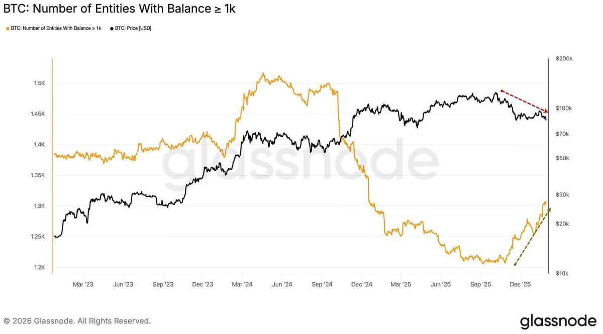 Rise in >1k BTC Holders: TradFi vs Whales