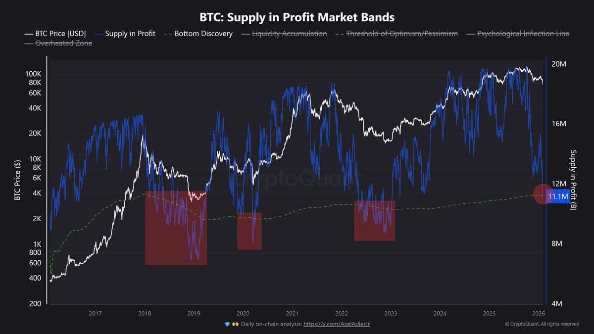 Profitable Crypto Coins Hit Record Low, 9M BTC Losing