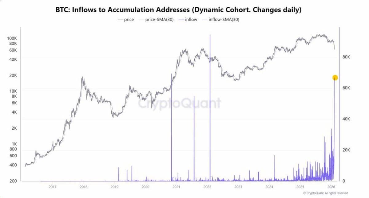 Whales Ramp Up BTC Buying Amid Current Correction