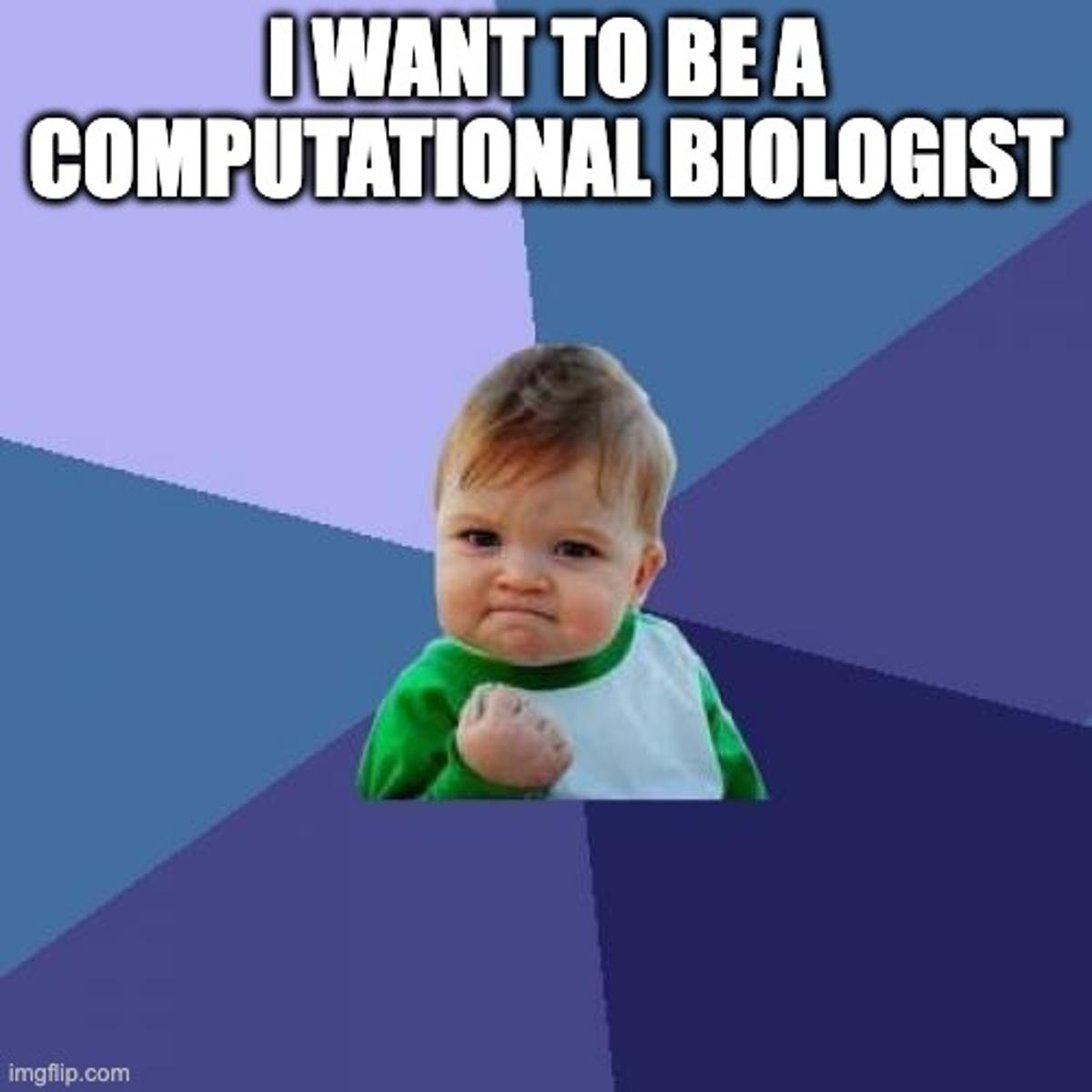 Computational Biology: Beyond Coding to Data Detective Work