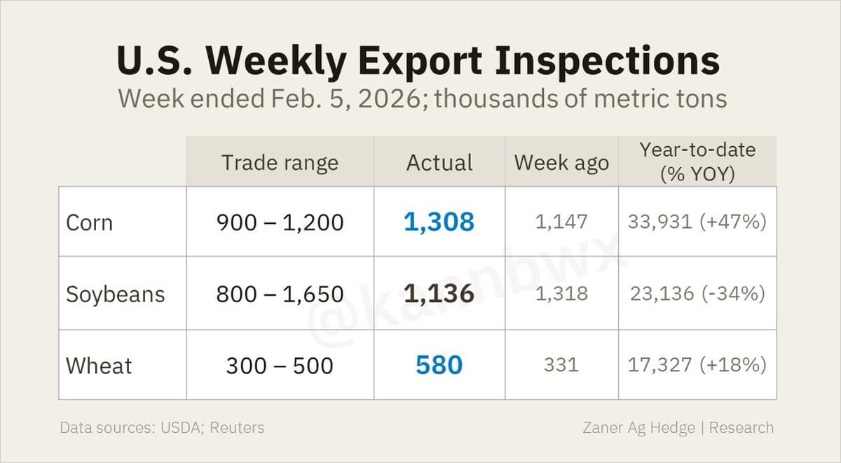 US Corn, Wheat Inspections Beat Forecasts; Beans Headed to China
