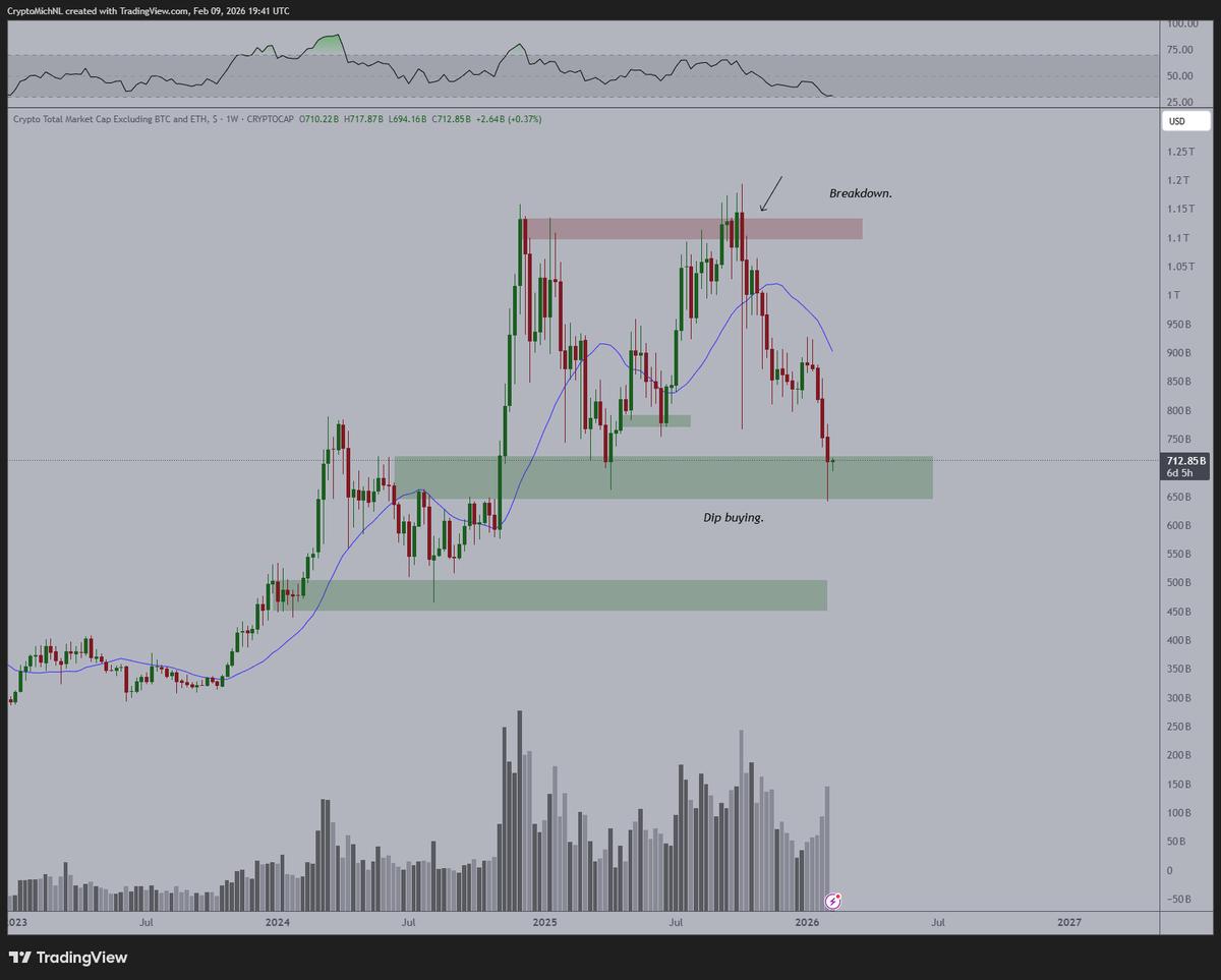 Altcoin Market Cap Holds Crucial Support Level