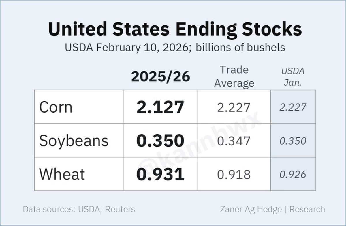 USDA Lifts Corn Export Outlook, Cuts Ending Stocks