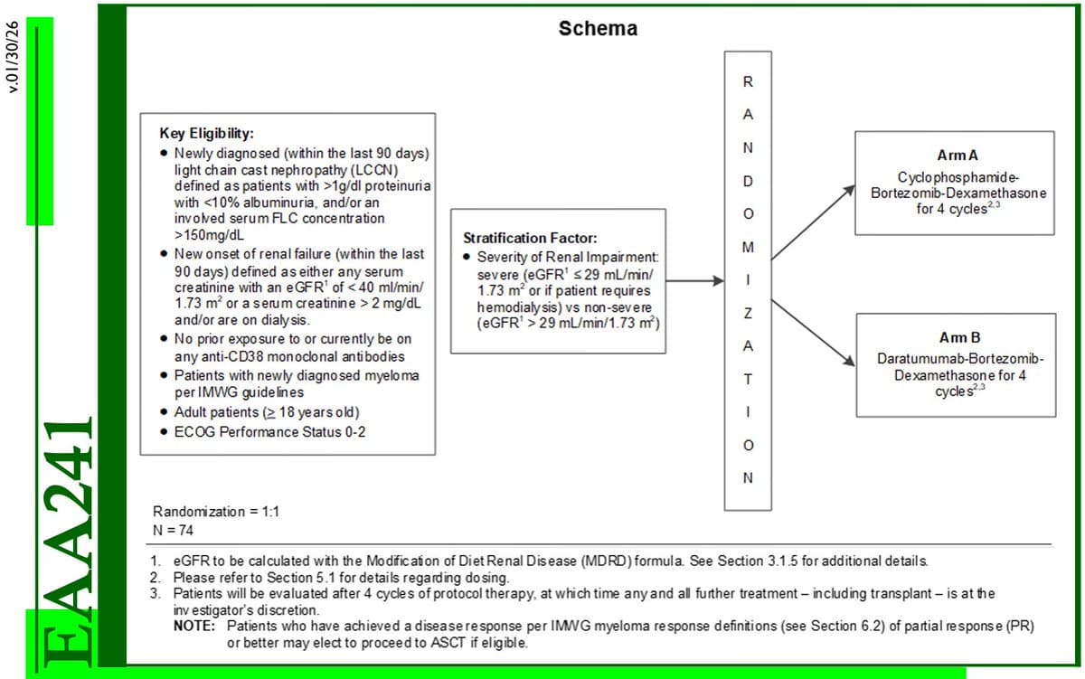 New Trial Compares Dara‑Bor‑Dex vs Cy‑Bor‑Dex for Myeloma‑Induced Kidney Damage