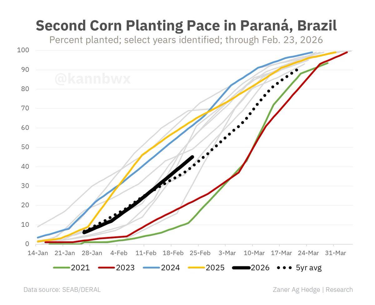 Parana's Second Corn Planting Lags Year‑ago, Barely Above Five‑year Average
