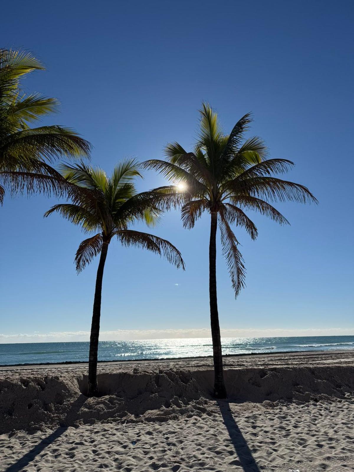 Optimism Returns as Lithium Prices and ESS Boom Questioned